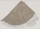vignette Lame virtuelle : Testicule : Cas n°3 -tumeur Maligne - tumeur non germinale - CD20